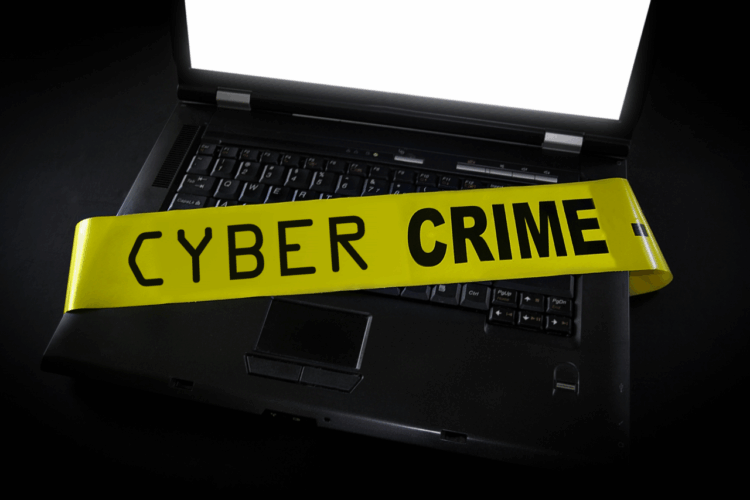 Cybercrime Laws Protect Your Privacy and Assets